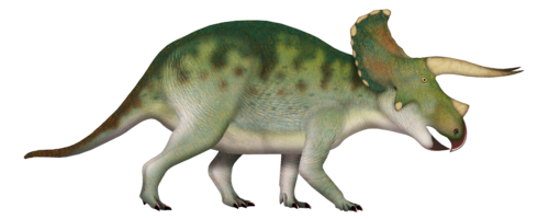 Foto de Triceratops