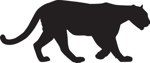 Photo of Puma