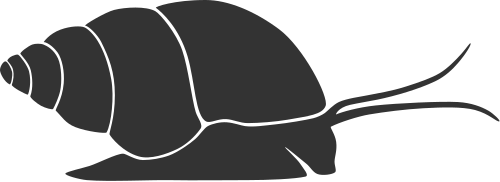 Foto de Caracol
