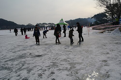 팽이치기 사진