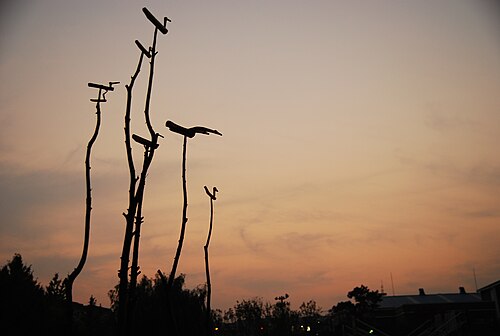 솟대 사진