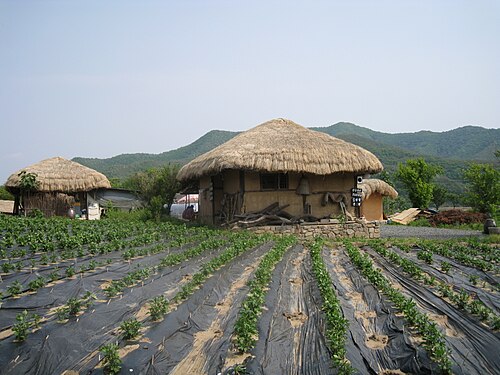 안동 하회마을 사진