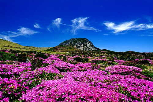 한라산 사진