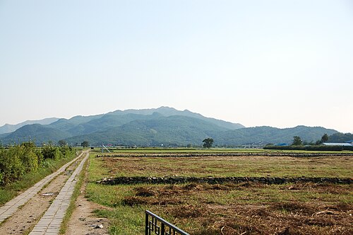 황룡사 사진