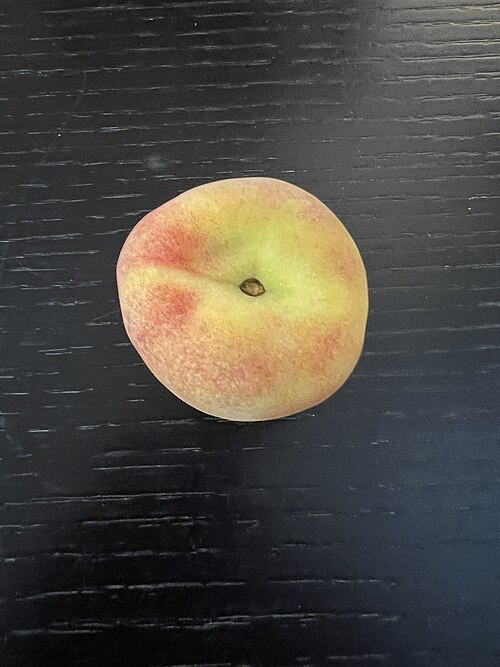 복숭아 사진