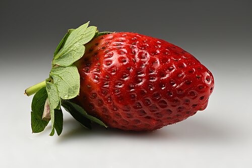 딸기 사진