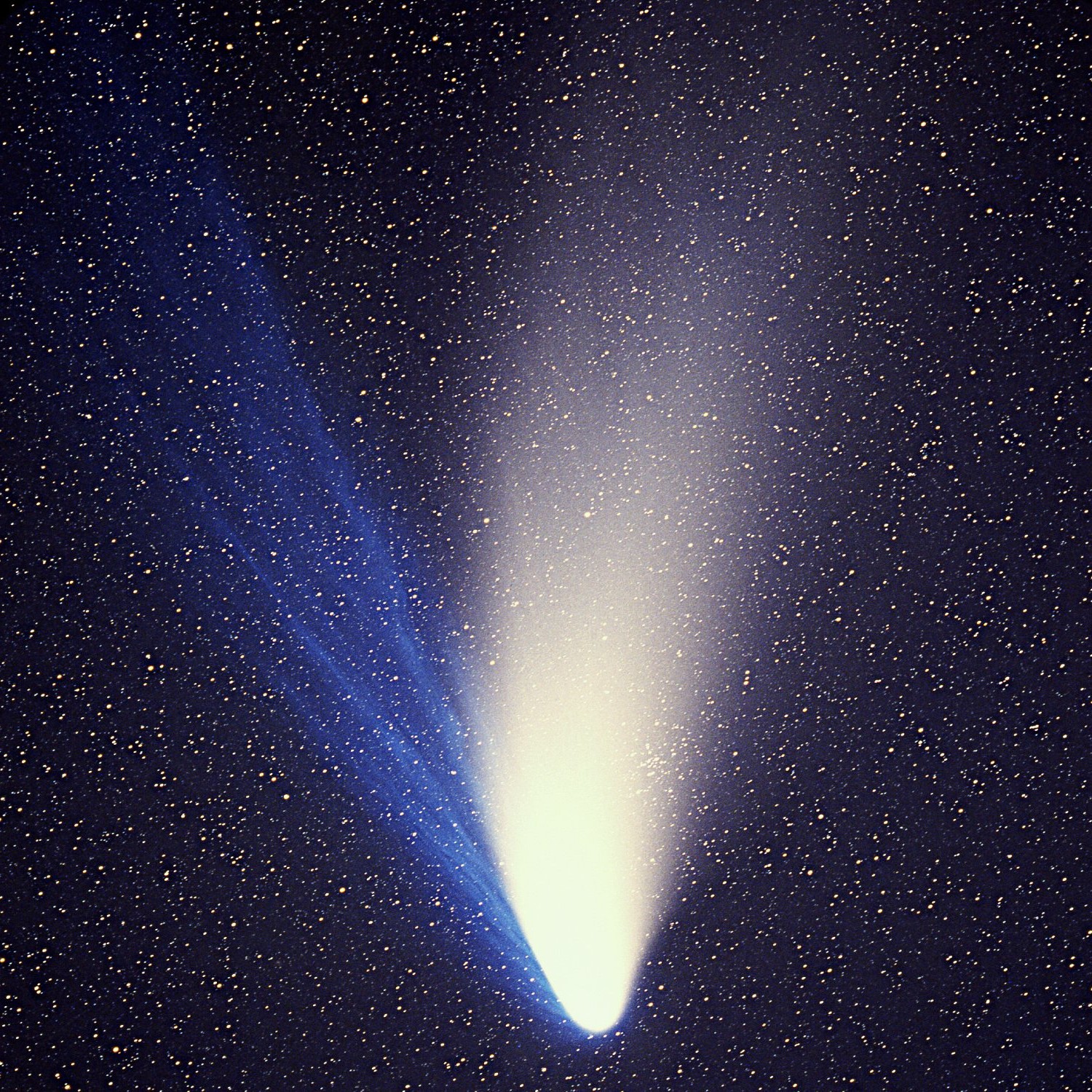 Photo of A comet