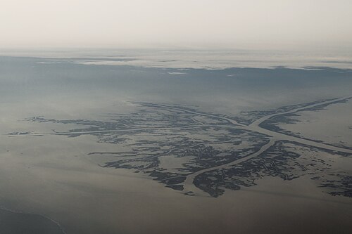 Photo of A delta
