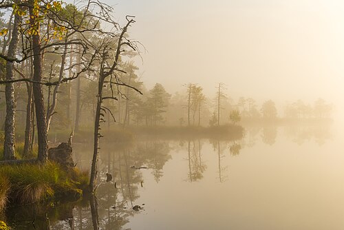 Photo of Fog