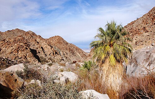 Photo of An oasis