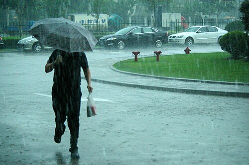 Photo of Rain