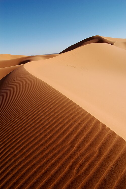 Photo of A sand dune