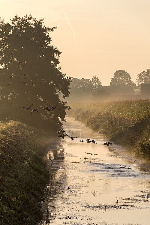 Photo of Sunrise