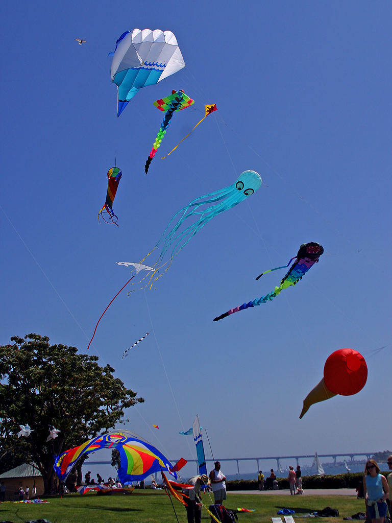 Photo of A kite