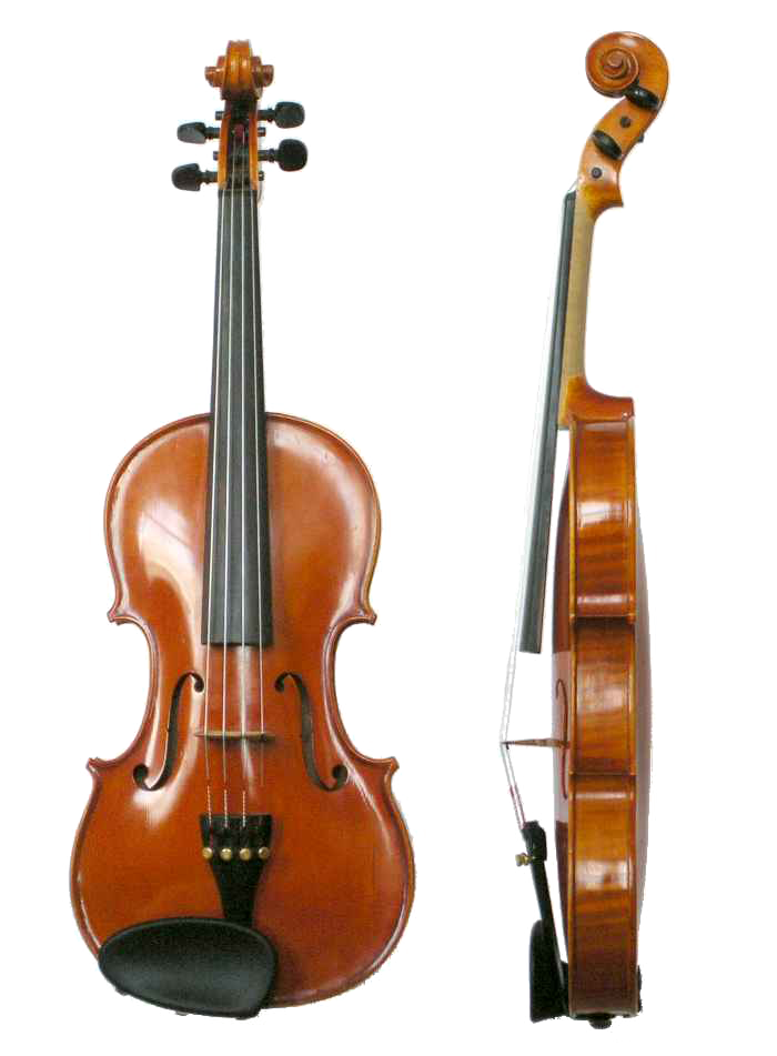 Photo of A violin