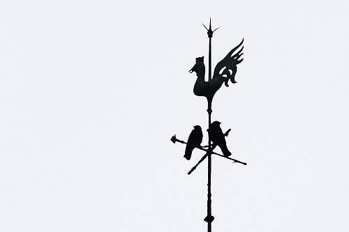 Photo of A weather vane