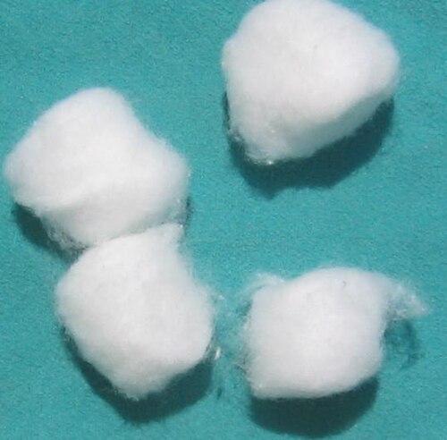 Photo of Cotton