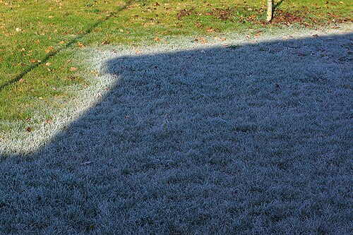 Photo of Frost
