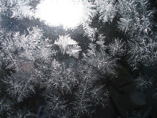 Photo of Window frost