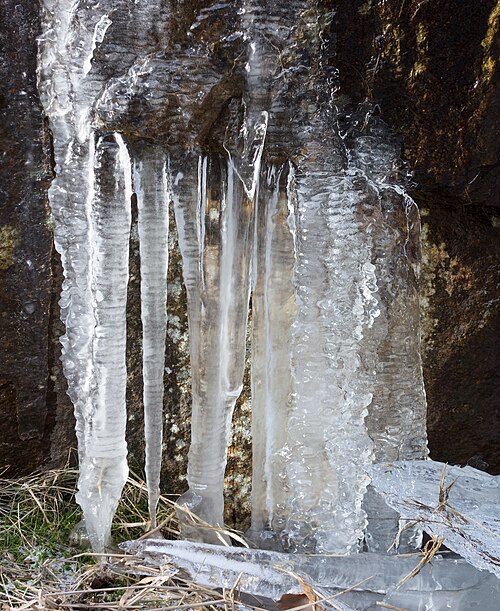 Photo of Icicle