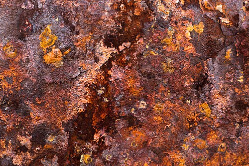 Photo of Rust