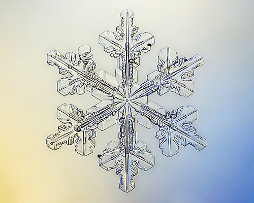 Photo of Snowflake