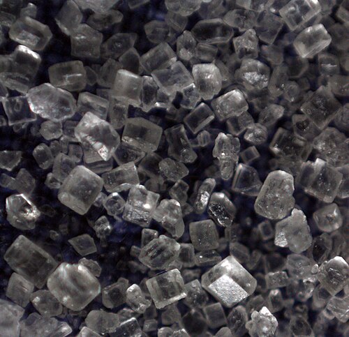 Photo of Sugar