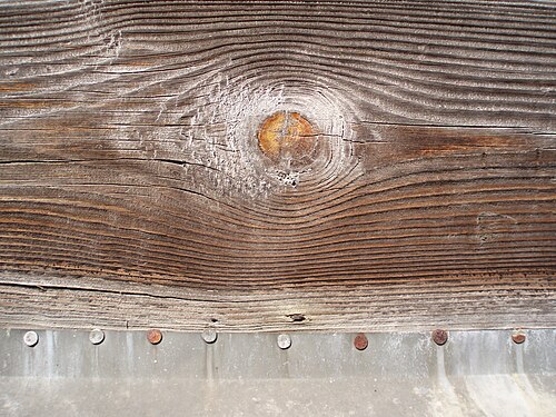 Photo of Wood