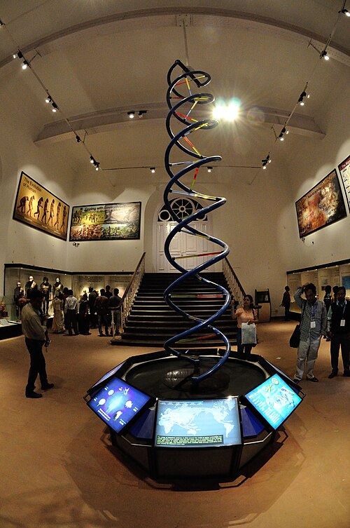 DNA 이중나선 사진