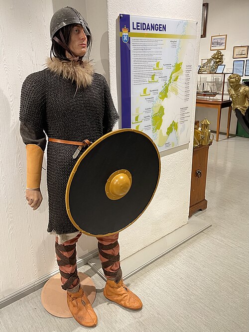 Foto de Un escudo vikingo